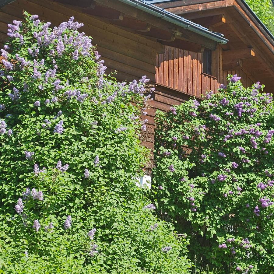 Haus Meikl Mühlbach am Hochkönig Eksteriør billede