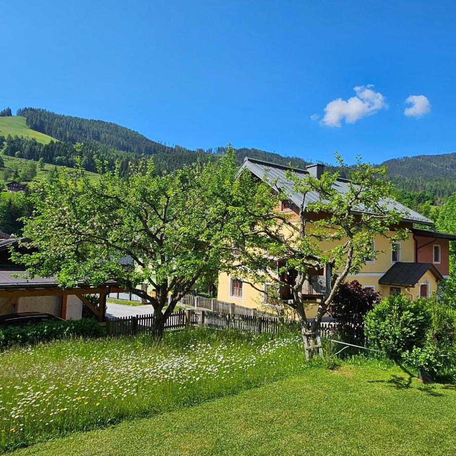 Haus Meikl Mühlbach am Hochkönig Eksteriør billede